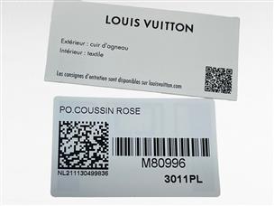 Shop Louis Vuitton Pochette coussin (M80999, M80996, M80742) by